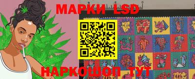 амф Донской