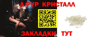 амф Донской