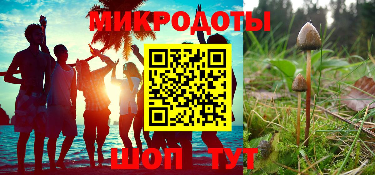 Печора  Псилоцибиновые грибы Cubensis  Вход с VPN  Галлюциногенные грибы GOLDEN TEACHER 